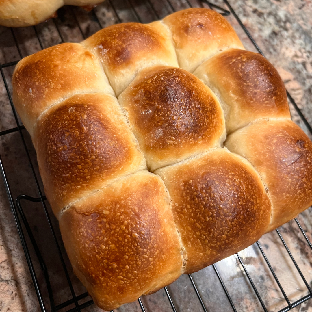 locally made sourdough rolls for thanksgiving - available for preorder in South Denver